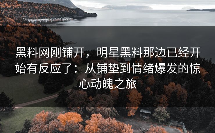 黑料网刚铺开，明星黑料那边已经开始有反应了：从铺垫到情绪爆发的惊心动魄之旅
