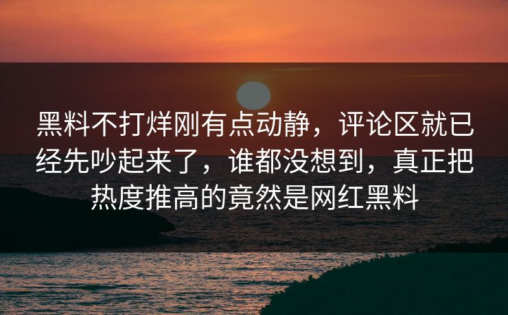 黑料不打烊刚有点动静，评论区就已经先吵起来了，谁都没想到，真正把热度推高的竟然是网红黑料