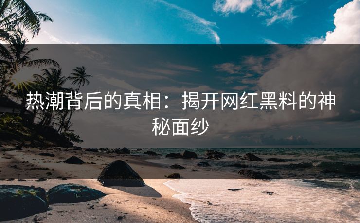 热潮背后的真相：揭开网红黑料的神秘面纱