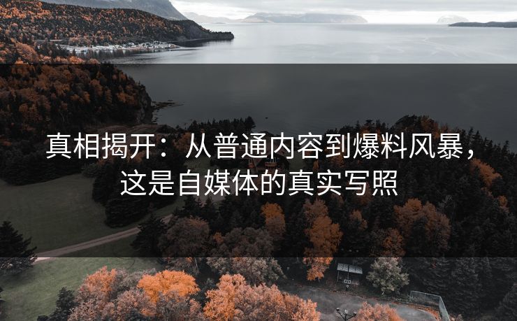 真相揭开：从普通内容到爆料风暴，这是自媒体的真实写照
